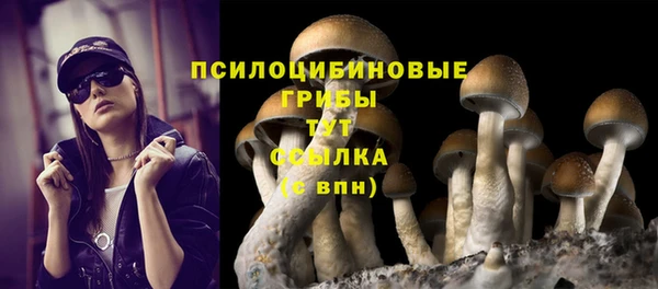 PSILOCYBIN Баксан